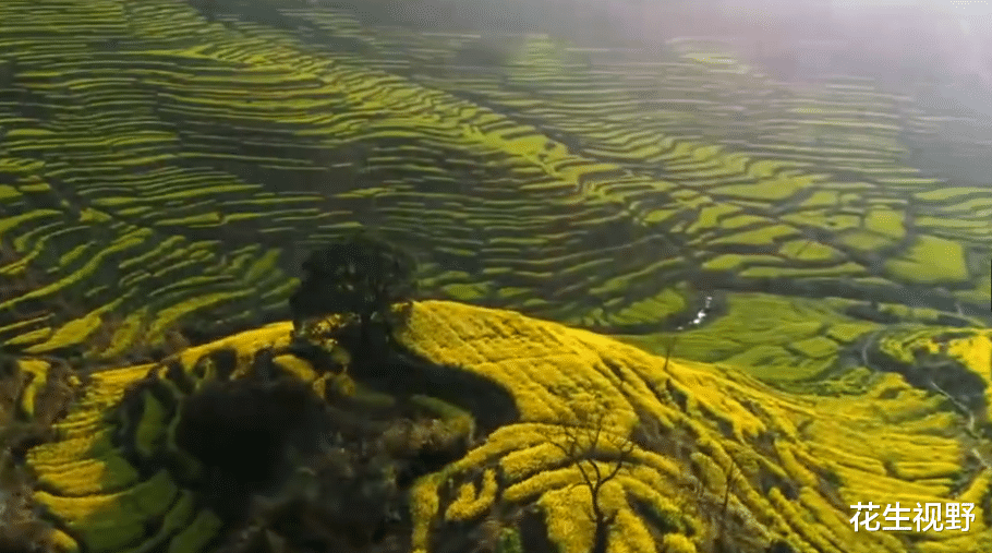 花生视野 婺源，全国唯一用县名作为景区名的地方，仅门票一年收入5.5亿