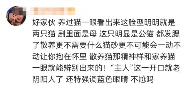 小猫是被电死的?剧组紧急回应:我们报案了