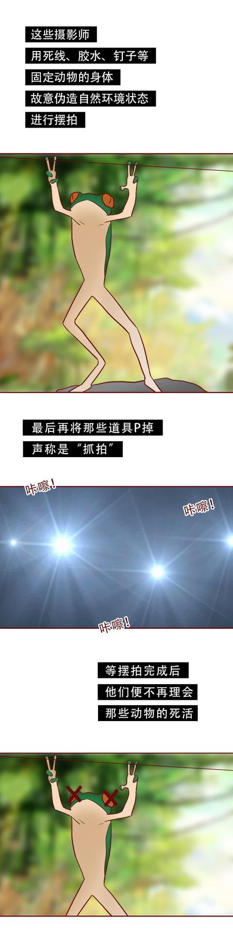 女孩|虐待、捆绑、拍摄，一位4岁小女孩被改造成赚钱的工具