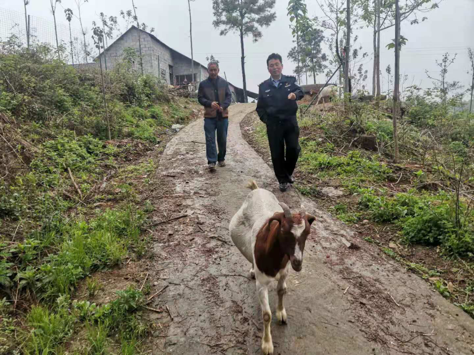 视点资讯 一只跑丢山羊 见证警民情长