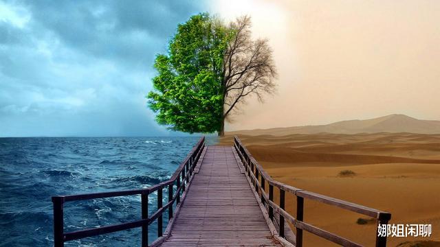 火山 每60万年爆发一次，黄石超级火山已进入喷发期？人类要怎么应对？