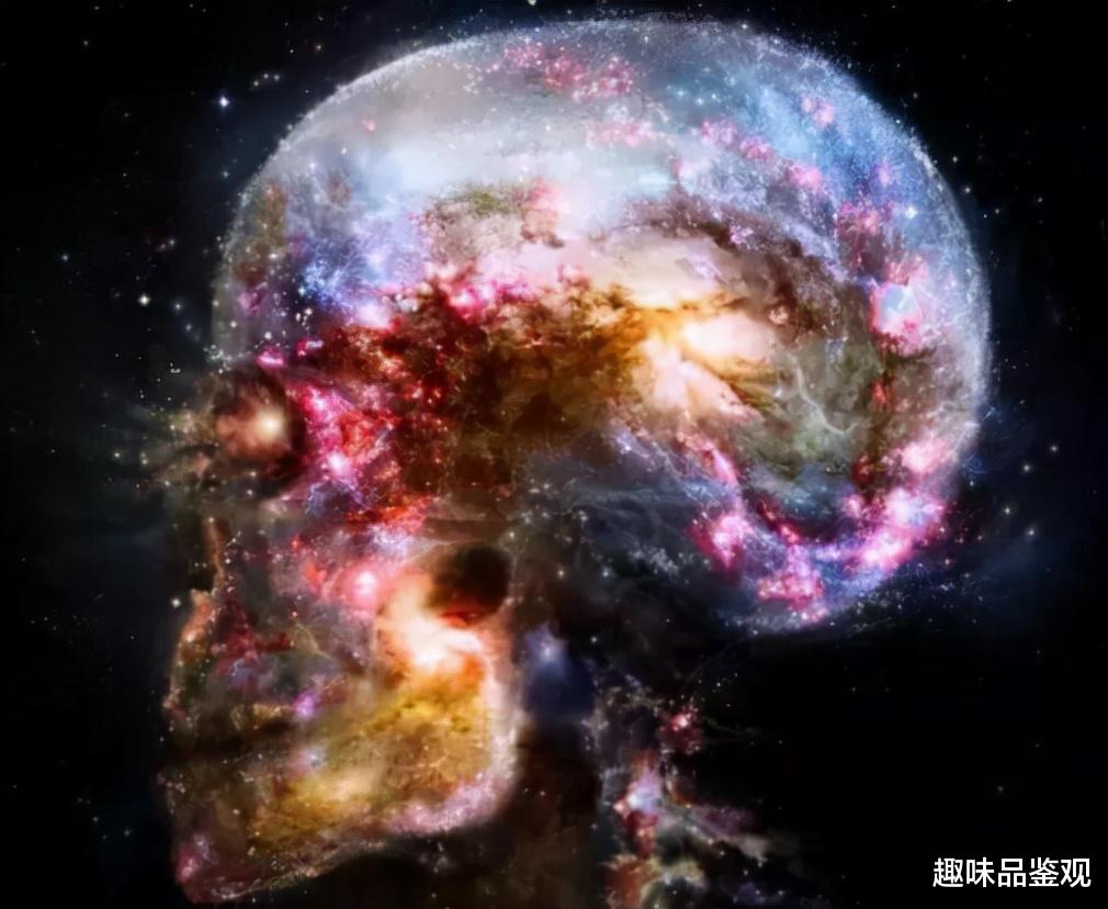 神经元 人类的神经系统被精心设计过？为何运行模式可以和宇宙媲美？