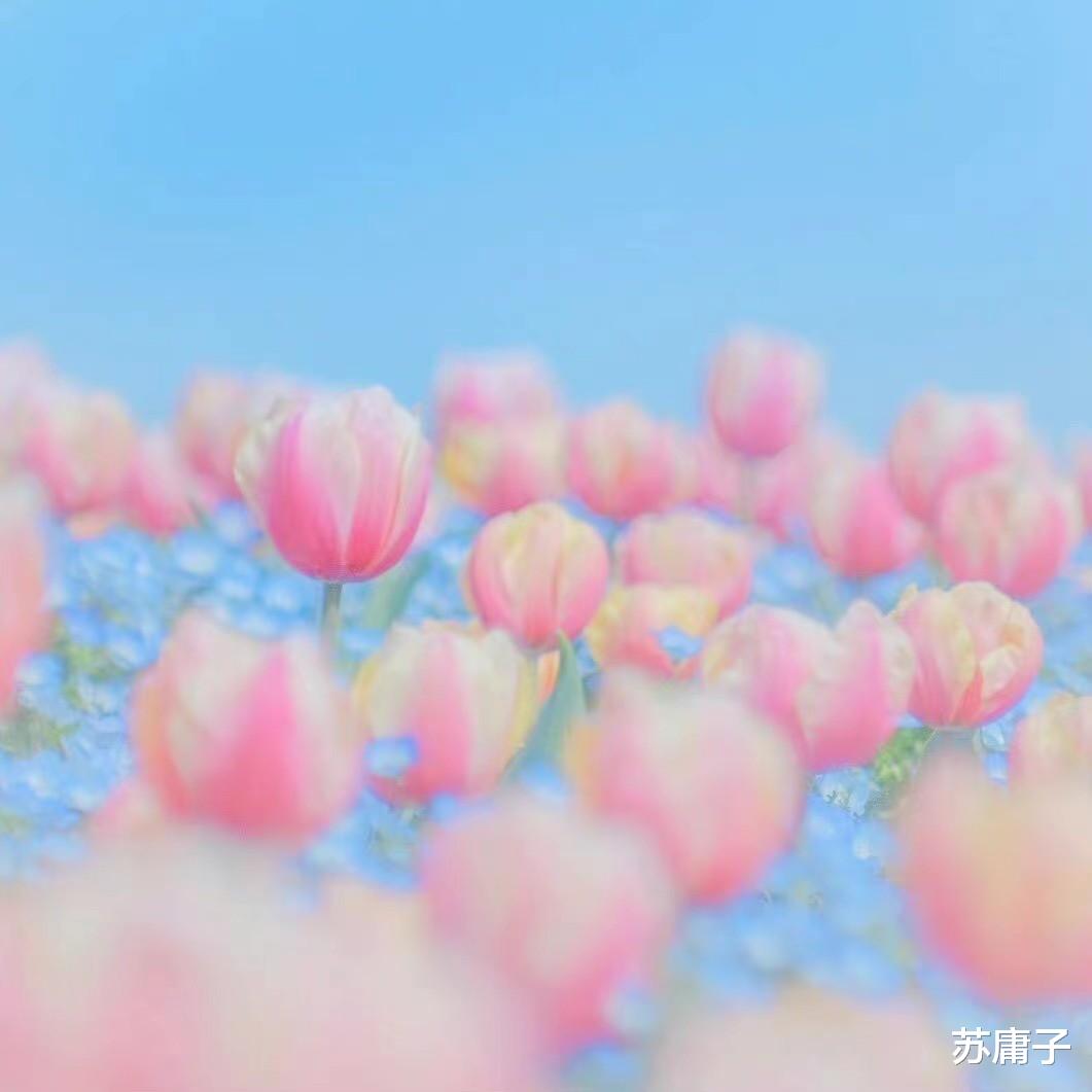 苏庸子 两性情感:聪明男人,都用这2招来“搞定”女人