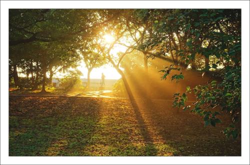 流星雨 水力发电竟然影响地球自转速度?未来的一天真的会有25个小时吗?