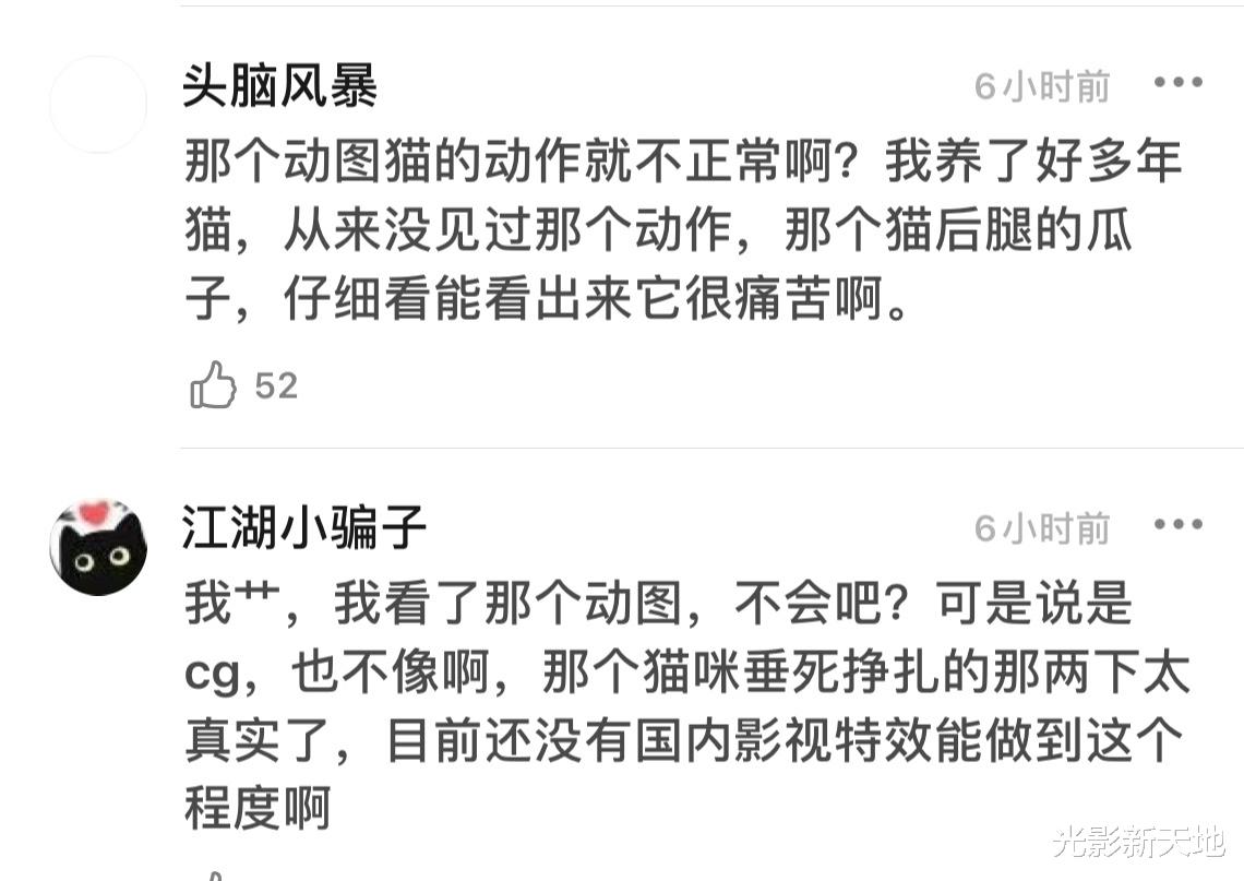 当家主母|《当家主母》被指毒死田园猫，抽搐动作太逼真，制作方否认再遭质疑