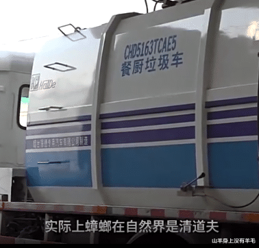 山羊身上没有羊毛 山东大叔养十亿只蟑螂促进环保事业，每年收入上千万！