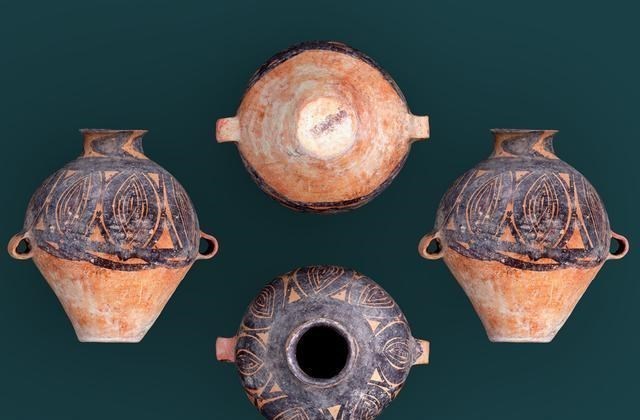 科学家 地球第二人类文明或已出现？巴拿马猴已会使用工具，引科学家担忧