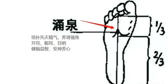 红枣|大暑艾灸,排毒泄旧病!抓住中伏冬病夏调,养生绝佳好时机!