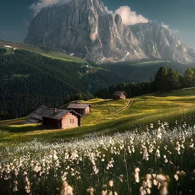 清泉永长流 雅韵网---张张充满魅力的摄影照片