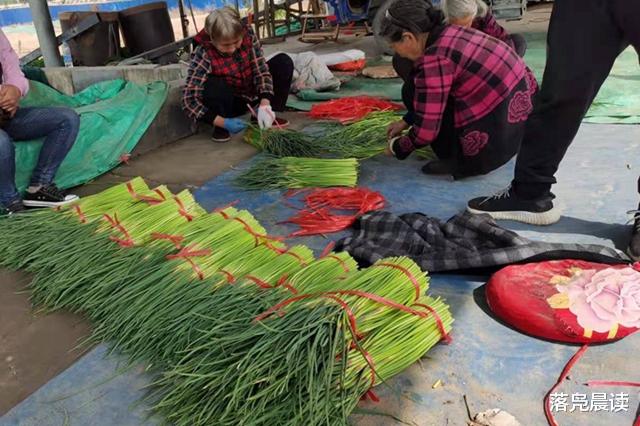 落凫晨读 截胡！美女开车半路拦人救急  事关大部分中牟人的美好明天
