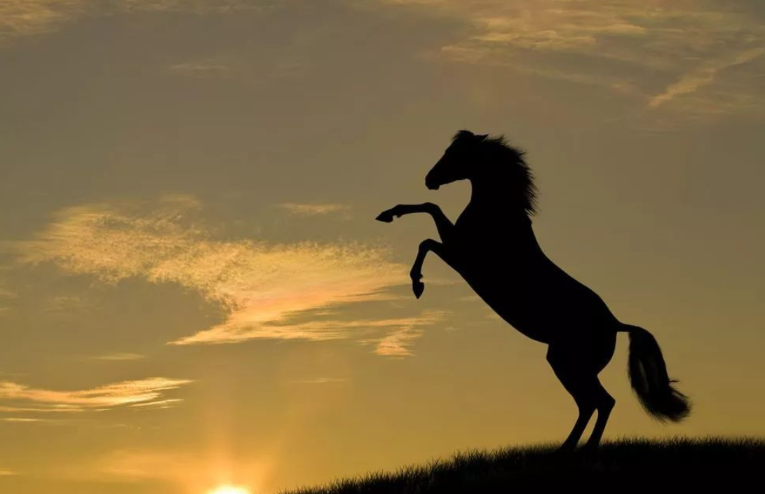 交易 船长分享：人性是贪婪的？