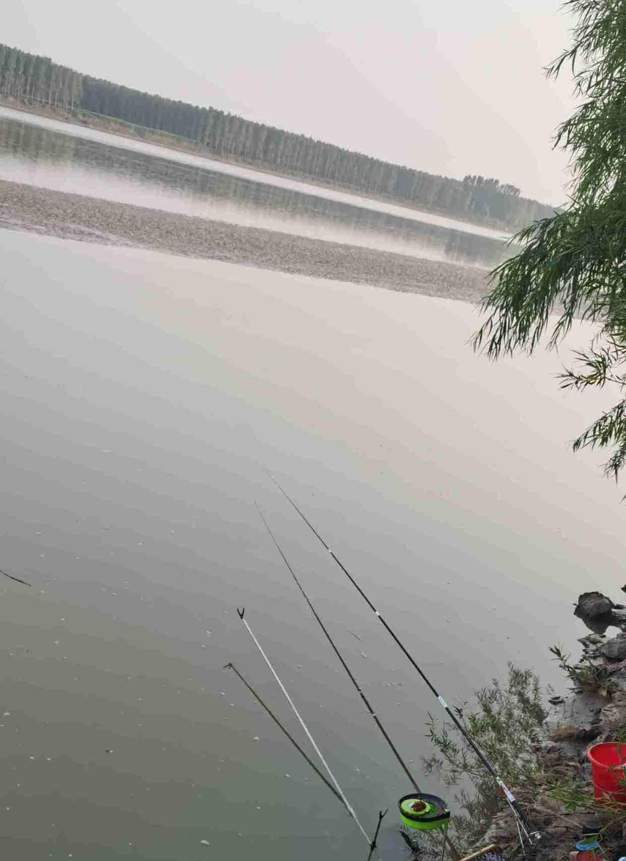 抖音|山东男子黄河钓起18斤“白色甲鱼”，网友：甲鱼活了500年就变白