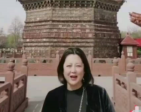 王茜华|戏骨王茜华近照变样，脸型怪异成尖下巴，老公满头白发与其似隔代