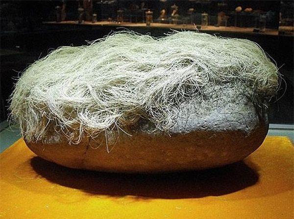 向东向西看 石头在长头发？老农捡到后想要将其占为己有，专家：这是远古生物