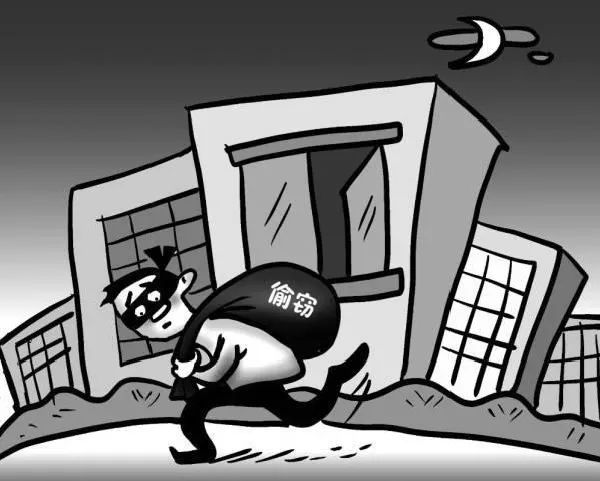 嘉鱼 嘉鱼一男子学车途中起贪念，盗卖工厂财物被判刑