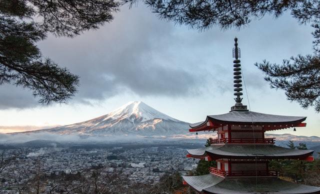陶莉点评 4月底，念念不忘，爱意缠绵，心中有你，前缘再续，执手一世情深