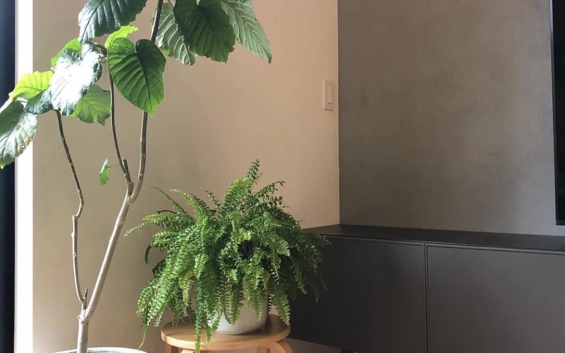 参观完她家后,整个人都被治愈了!小家简单清爽,越住越舒心!