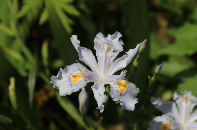 氡泉息烽 “五一”:息烽旅游攻略!