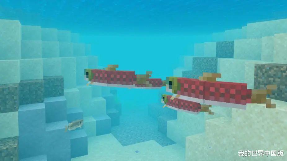 鳊鱼|水底究竟有多少种鱼？《我的世界》全自动钓鱼机 让你见识全鱼宴