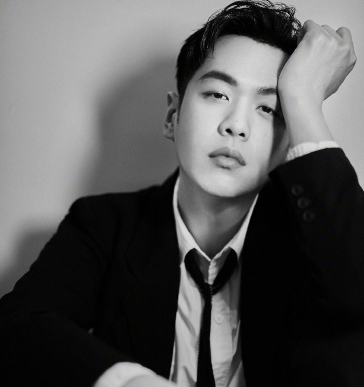 张若昀|古装男主角为何都是张若昀?长得帅吗?娱乐圈没人适合了吗?