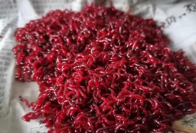 饵料|盘点6种“重口味”饵料，看起来恶心但鱼儿却十分喜爱