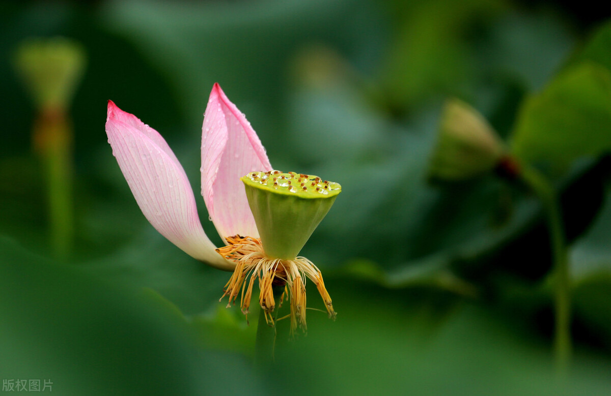 肾病|一场秋雨一场寒，肾病患者秋季养生要注意这几点