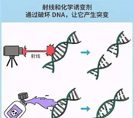 校园生活新风向 1992年,山西泥瓦工从工地捡出一个“铁疙瘩”,141人被牵连致病
