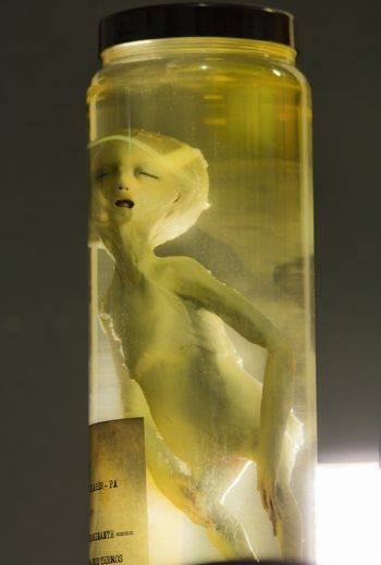  人类有一天会成为克隆人吗？