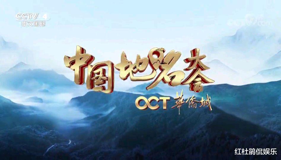 主持人|央视7档“大会”主持人，董卿龙洋最出彩，谢颖颖王端端输在人气