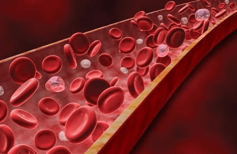 挚爱宝宝一生|一天一杯桑葚酒有什么好处？看完后，你还会当心对身体有副作用？