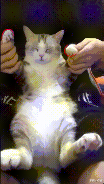  三星离开中国还是世界第一，是中国市场不重要？网友：好像地球不转了