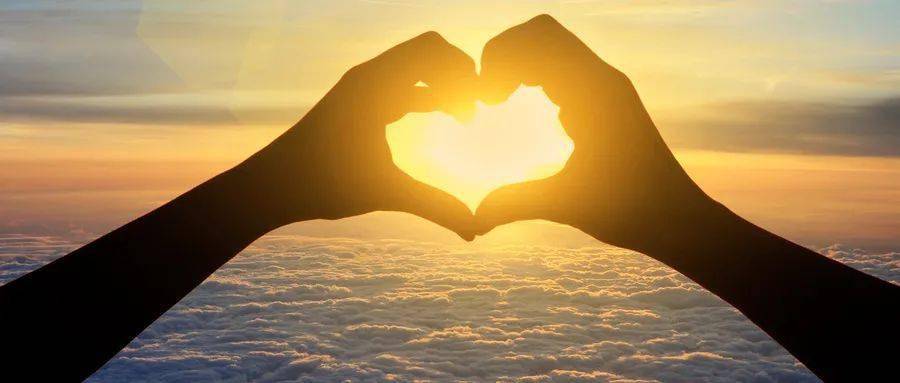 肝脏|上了岁数健忘，记性差？送你一剂生慧汤，养心补肾，上下相资