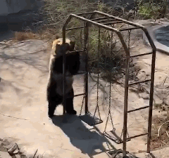 歪骆驼|“小姐姐在面盆里洗脚，摔倒的画面太舒适，看你下次还敢不敢”