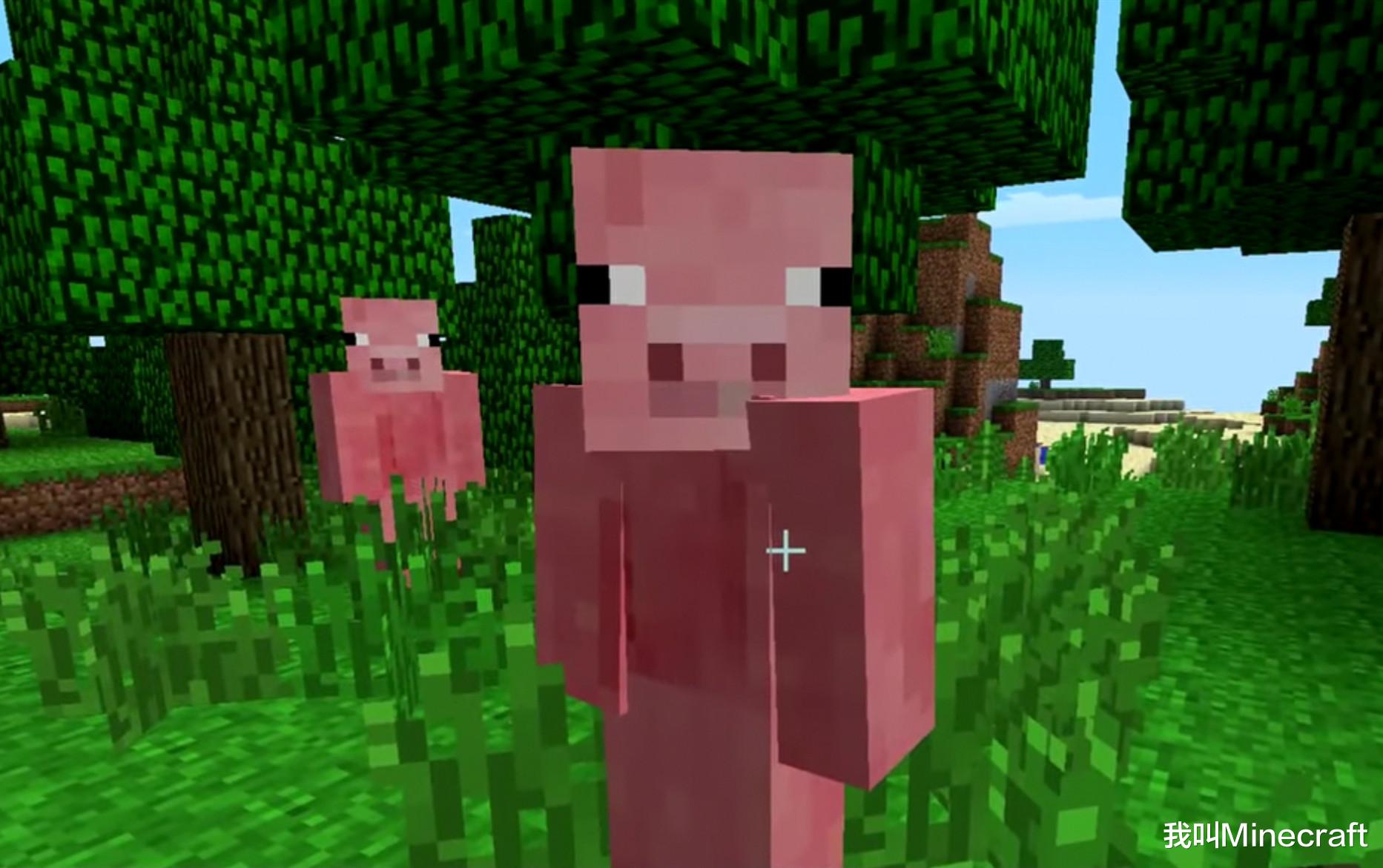 我的世界:关于Minecraft村民,你可能不知道的50个“秘密”!