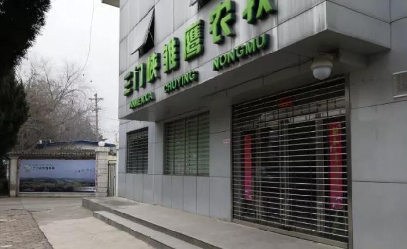 比特币 巨亏30亿!饿死270万头猪,养猪第一股到底发生了什么事?