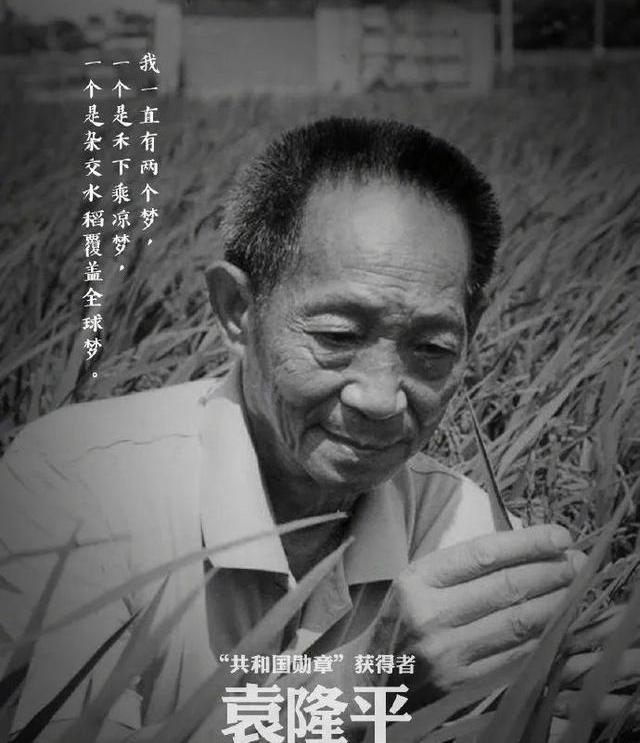 缘来妈咪 举国沉痛悼念之际，多名男子侮辱袁隆平院士，被采取刑事强制措施