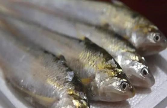 90后宝妈经验|刀鱼从60块钱一斤，跌至3块钱一斤，消费者：再便宜也买不起