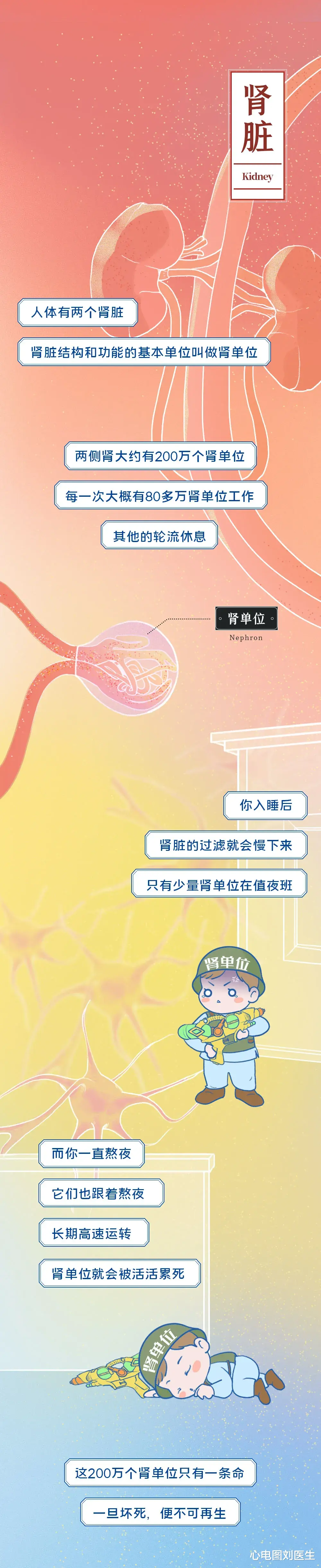心电图刘医生|长期熬夜相当于慢性自杀，不信？向你展示身体被“掏空”的过程！
