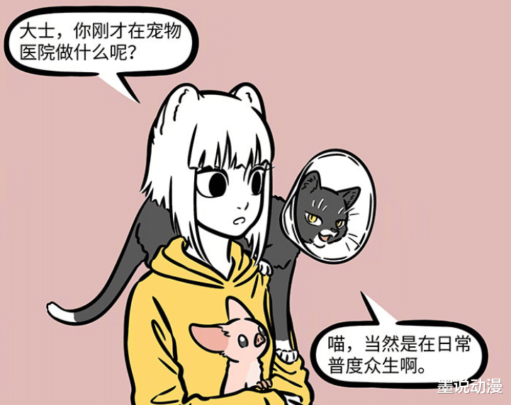 徐哼唧|非人哉：九月带着徐哼唧打疫苗，观音再度化身为猫，已被绝育