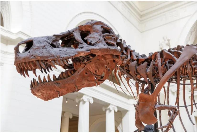 三叶虫|争论百年的奇闻，古生物学家断定，多福砚上的蝙蝠是五亿年前生物