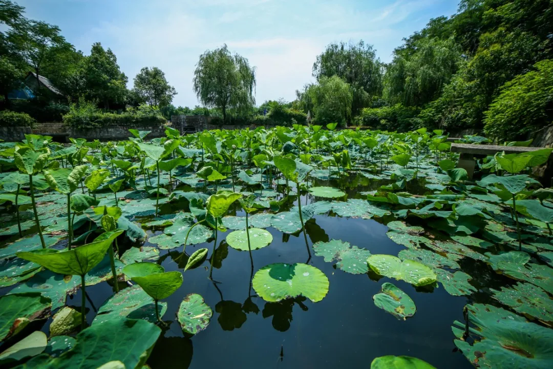 蚌埠论坛 春游江淮请您来丨这个春天，来禹会区和孩子一起遇见美好~