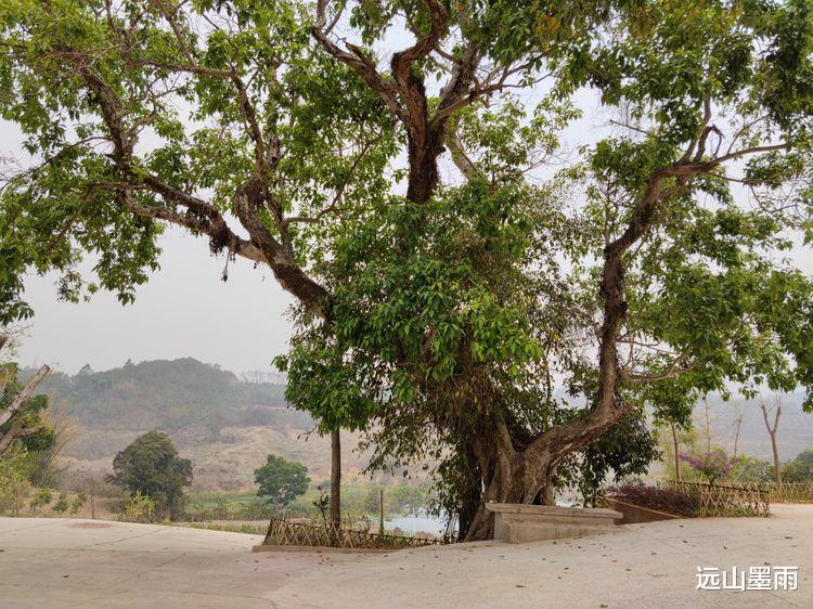 远山墨雨 从昆明开车去景谷，走墨临高速公路路线的体验，感觉不错