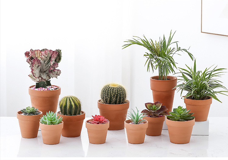 小面积花园如何设计？私人小花园布置避坑指南，看完尽情折腾吧！