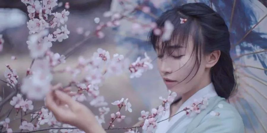 李子柒|李子柒“仙气”崩塌？我却才看懂了这个女孩的可怕