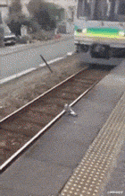 小琳解说星座|“美女，出门前还是注意下穿着吧，你旁边的闺蜜都不好意思看了！”哈哈哈