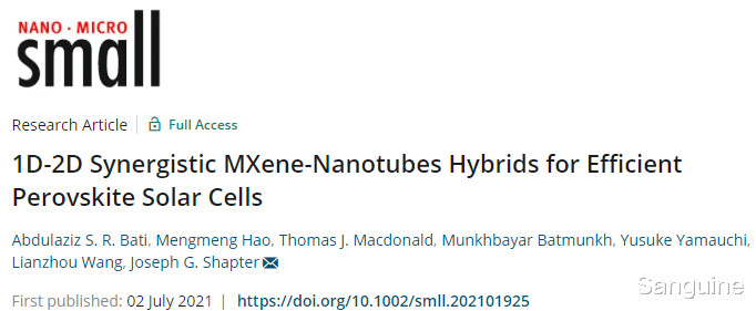 纳米 用于高效钙钛矿太阳能电池的一维-二维协同 MXene-纳米管杂化物