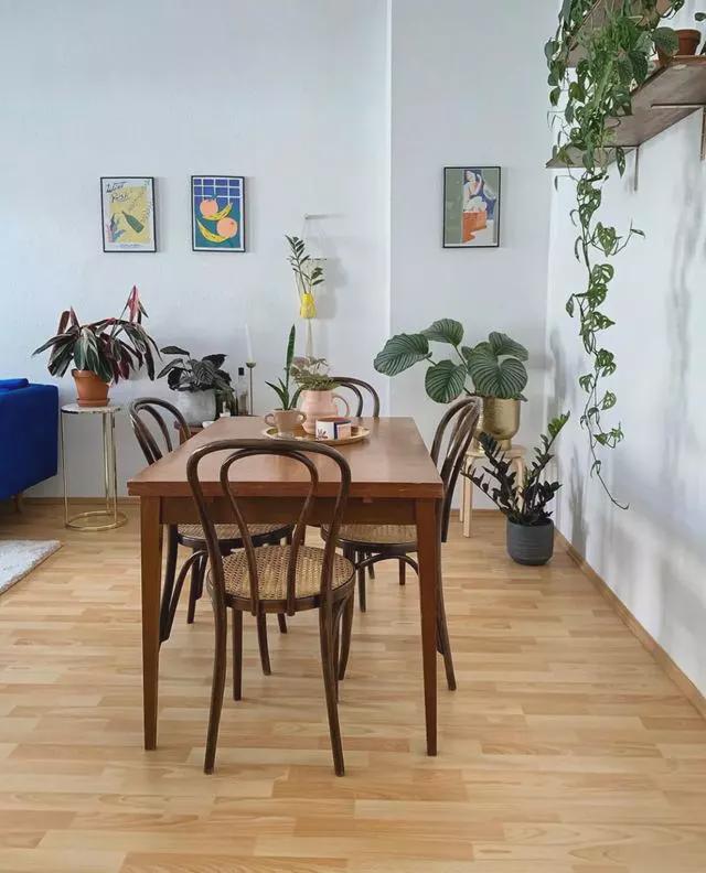 丹麦女白领87㎡一房一厅，满是绿植的精致生活，厨房太可爱了！