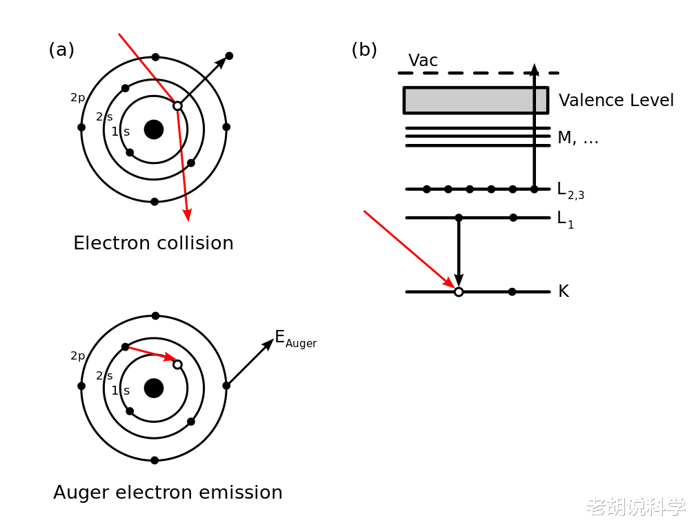 裂变 走进奇异原子世界，它为何能引发新的物理学，甚至促使能源突破？