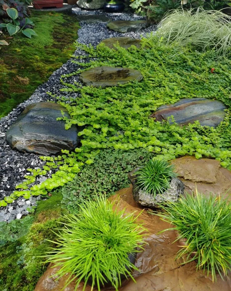 因为这个50㎡露台，买了这套房子，历时7年DIY打造成花园，太美了