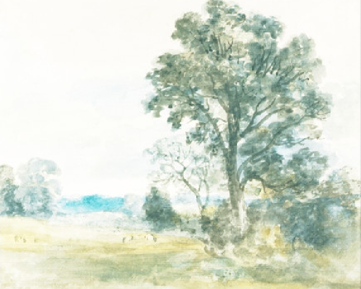 小台灯情感天地|财富“眷顾的人”,自身都具备这“三点”